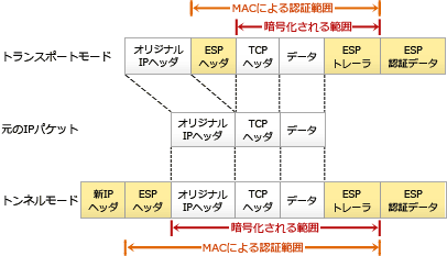 19.png/image-size:406×233